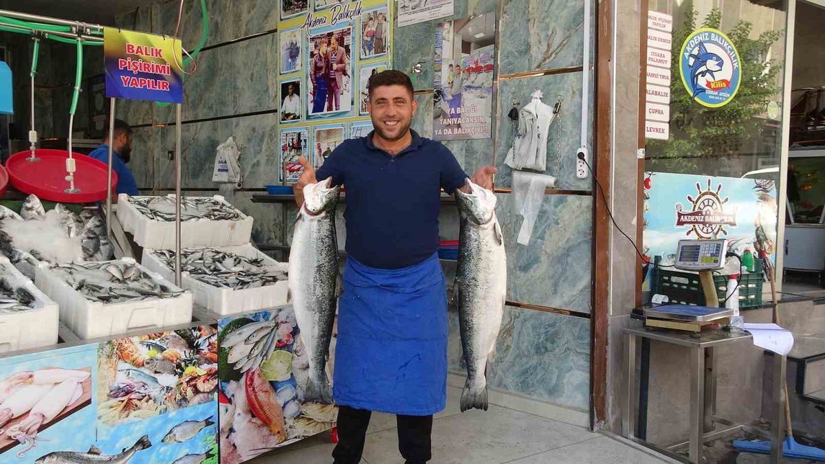 Kilis’te balık sezonu açıldı, tezgahlar çeşitlendi