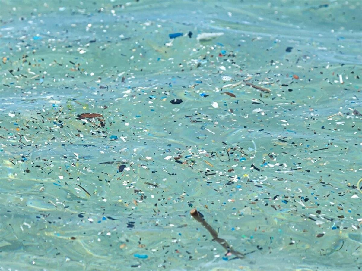 Plastik üretimi 24 yılda yüzde 84 arttı: 2060'a kadar üç katına çıkabilir