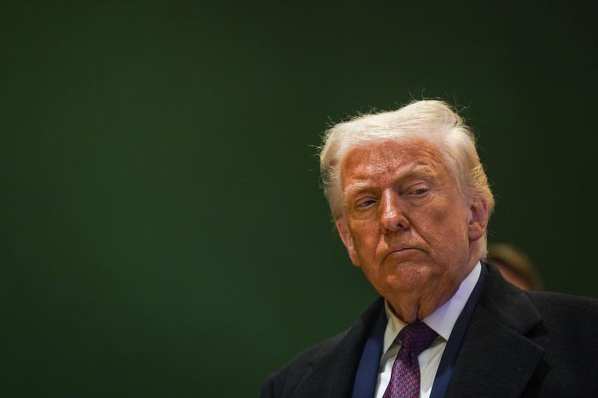 Trump: AfD'nin Almanya'daki yükselişi sürüyor