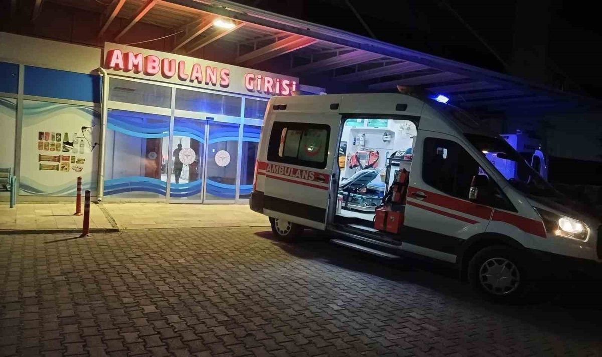Babasını bıçaklayarak yaraladı