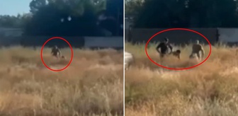 Cepheye asker arayışı bu noktaya geldi! Tarlada yakalayıp götürdüler