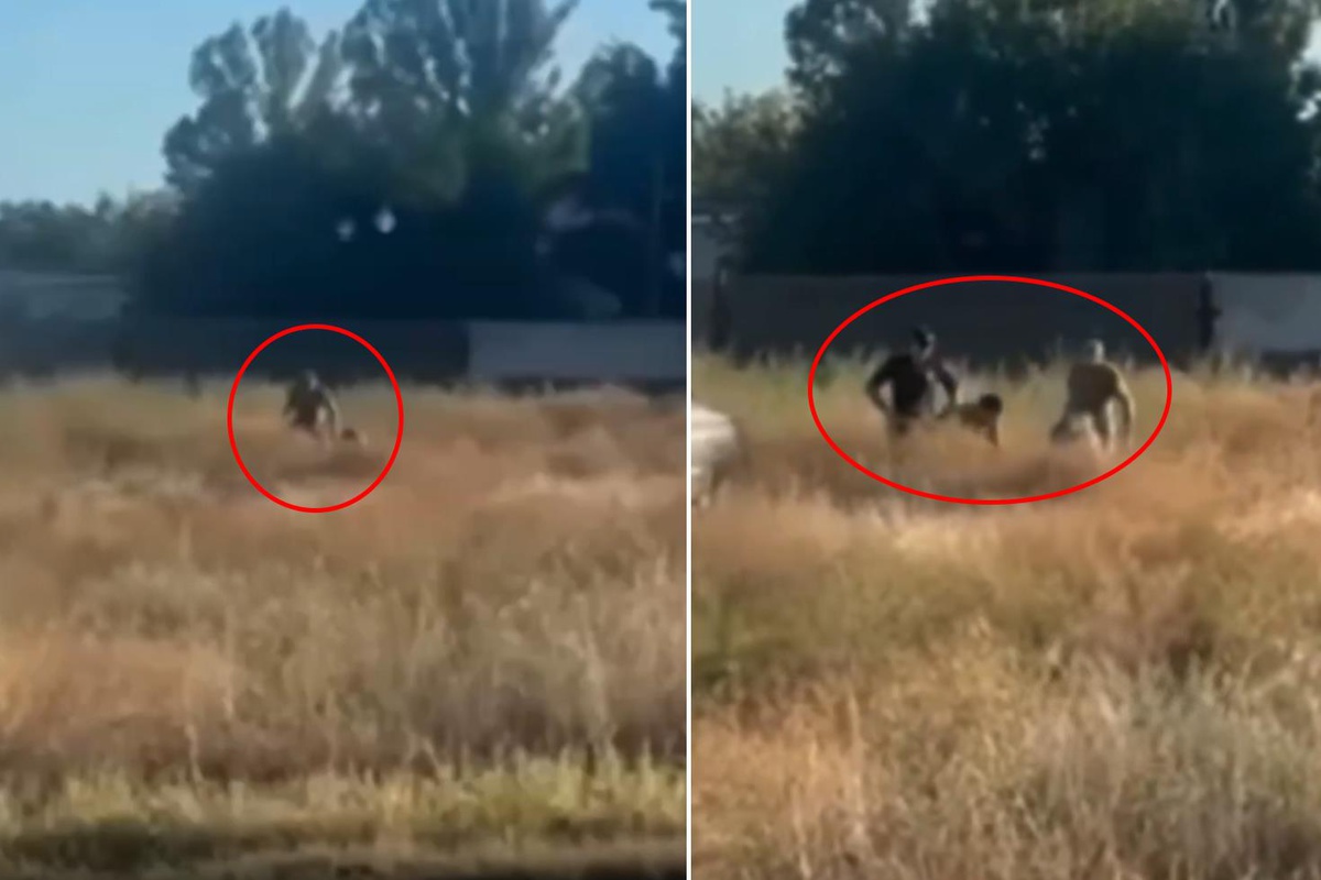Cepheye asker arayışı bu noktaya geldi! Tarlada yakalayıp götürdüler