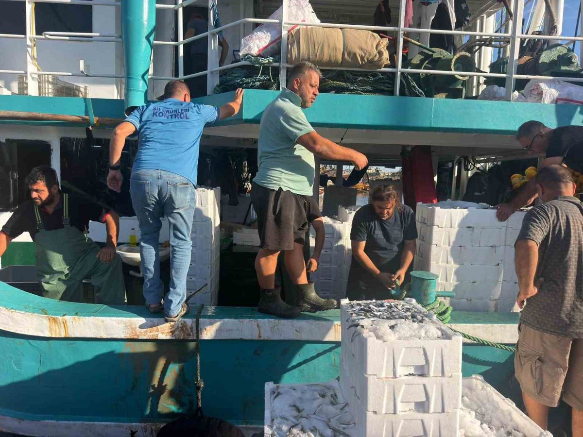 Hamsi avında kota dönemi başladı, denetimler sürüyor