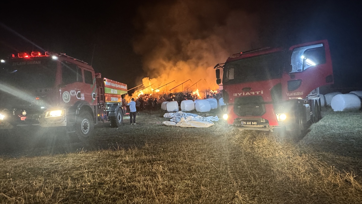 Karabük'te çıkan yangında yaklaşık 3 bin balya ot yandı