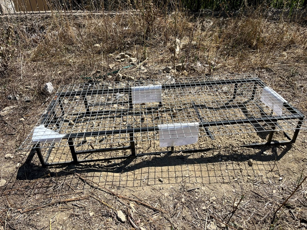 Karabük Üniversitesinde tek kullanımlık plastiklere alternatif biyobozunur ürünler geliştiriliyor