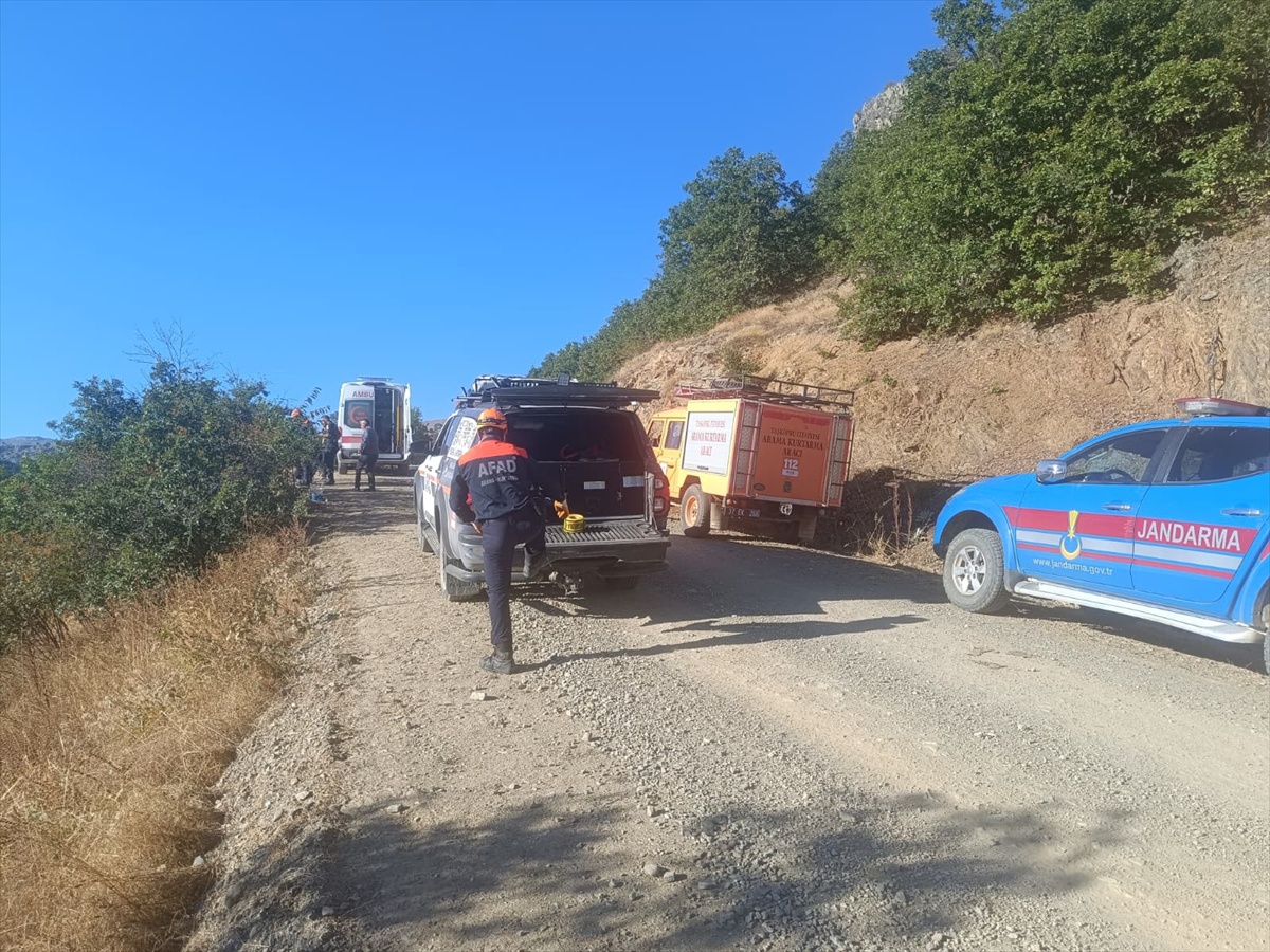 Kastamonu'da kuşburnu toplarken uçuruma yuvarlanan kişi yaralandı