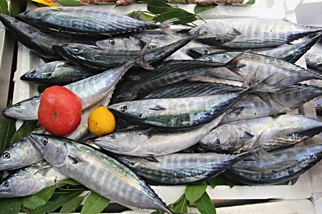 palamut bollugu tezgahlara yansidi 600 gram b 4 20225362 o