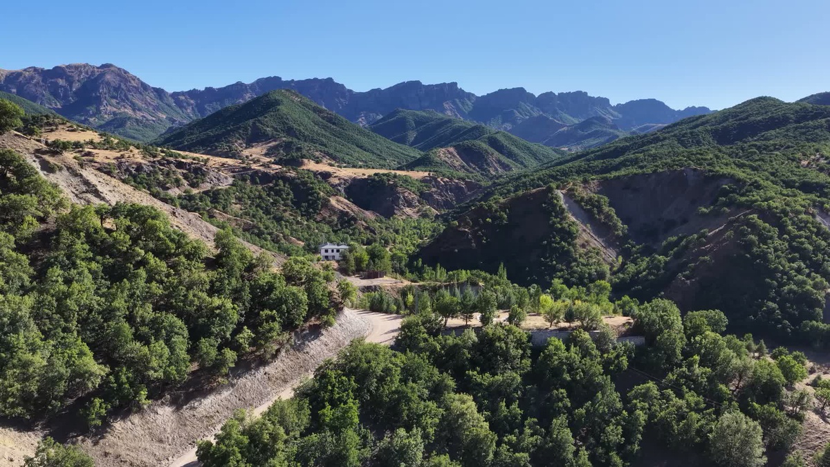Tunceli’de hayvancılık yapan köylüler, artan ayı saldırılarından şikayetçi