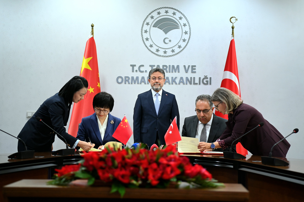 Türkiye ile Çin arasında 'defne yaprağı' ihracatı için protokol imzalandı