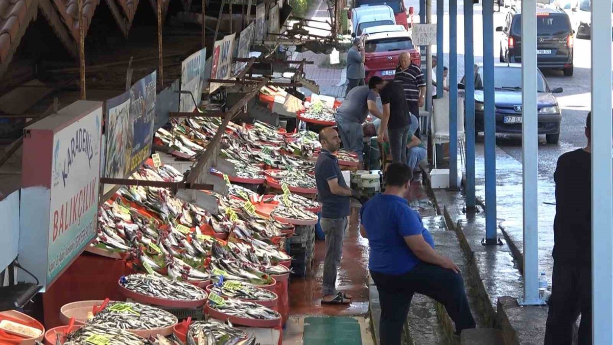 Yalova Balık Hali’nde fiyatlar düşüşe geçti