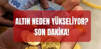 Altın neden yükseliyor? SON DAKİKA! Altın yükselmeye devam edecek mi?