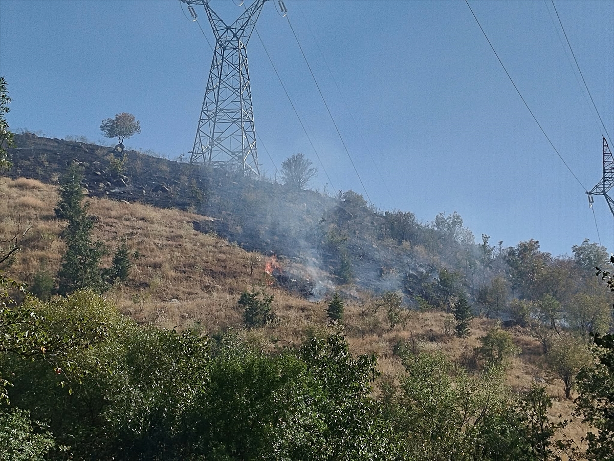 Çankırı'da arazi yangınında yaklaşık 650 dekarlık alan zarar gördü