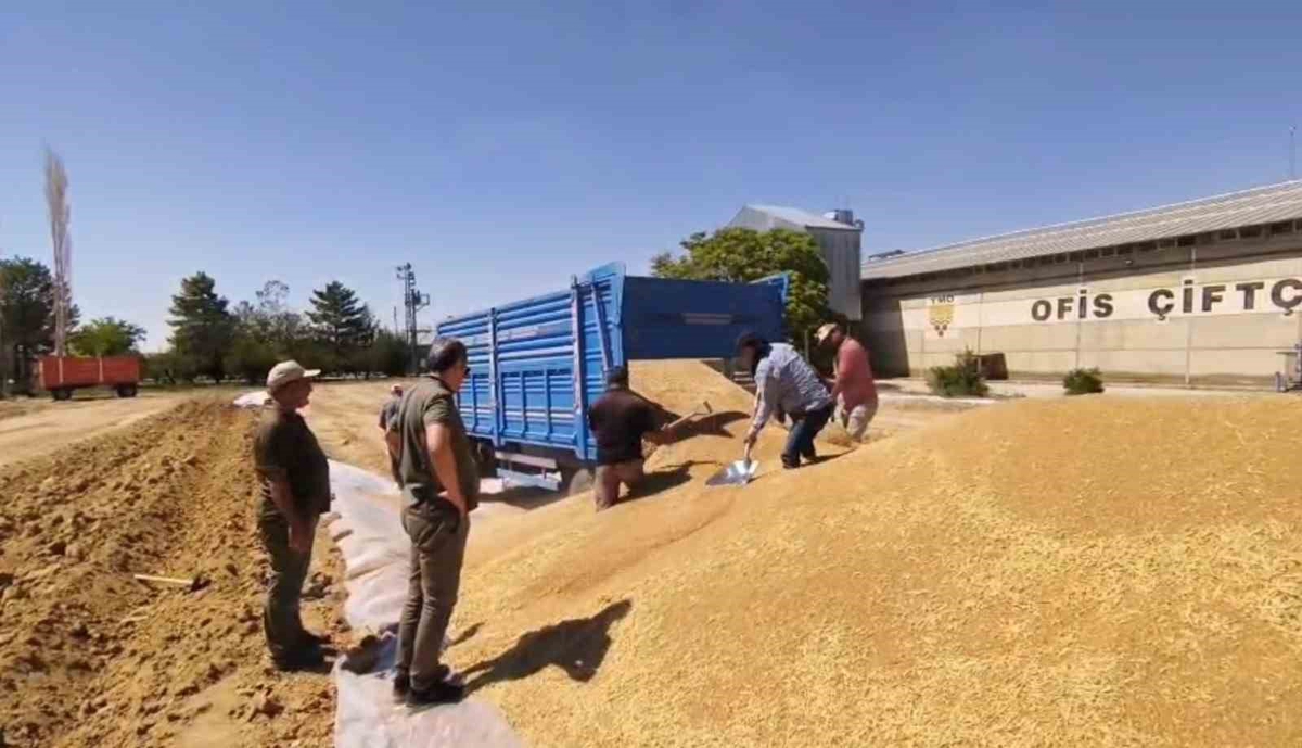 Konya’da TMO’dan 2 milyon tona yakın hububat alımı
