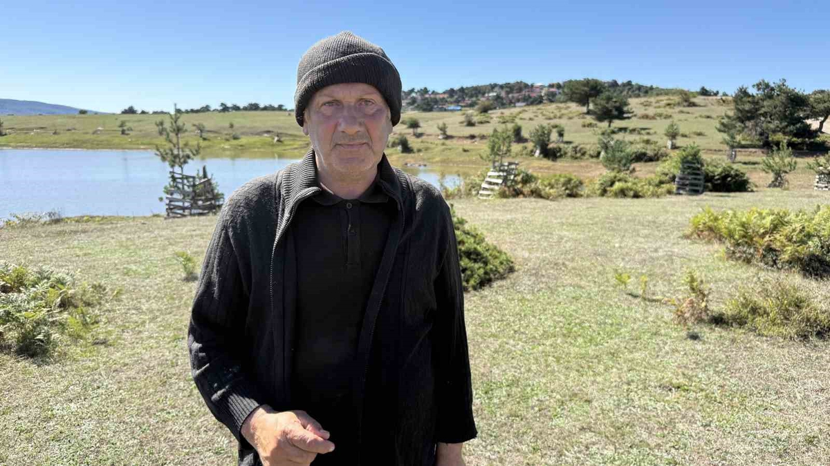 Sürünün tamamı ahıra dönmedi, karşılaştığı manzara şoke etti
