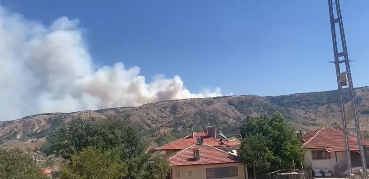 Ankara-Çankırı sınırında orman yangını