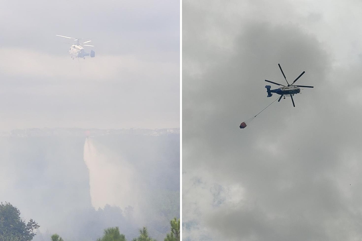 Arnavutköy'de ormanda yangın! Helikopterle müdahale başladı