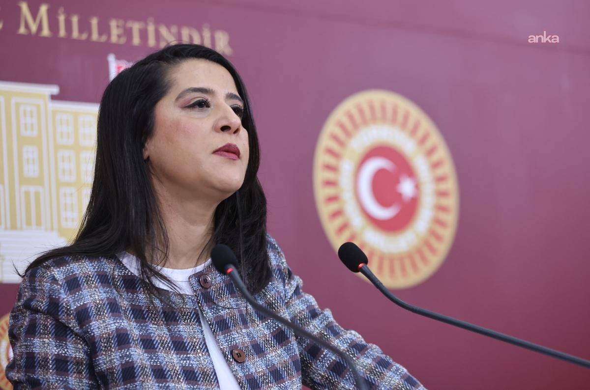 EMEP'li Sevda Karaca: 'LGBTİ örgütlerinin yakasından artık düşün'