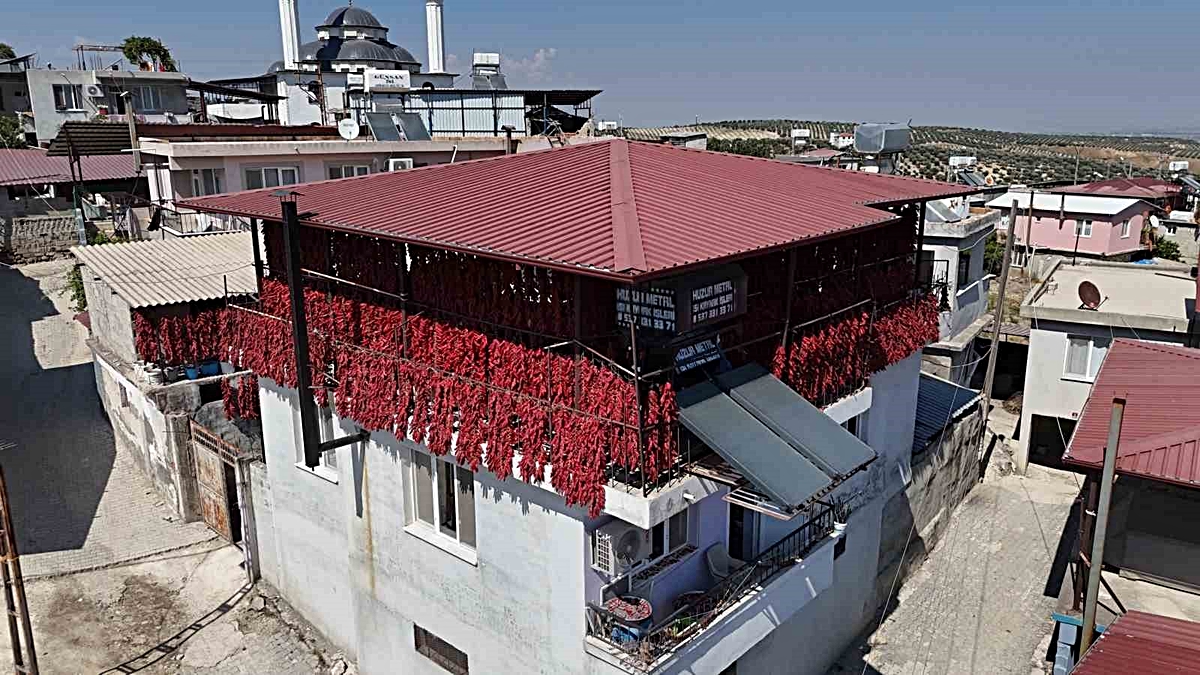 Kavurucu sıcakta tek tek ipe dizilen dolmalık acı biberler, mahalledeki balkonları kırmızıya bürüdü