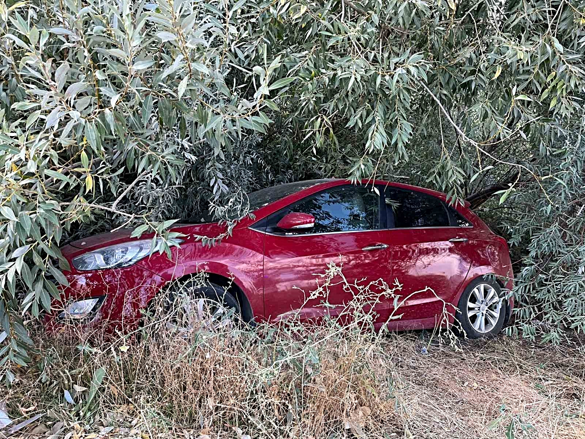 Malatya’da otomobil şarampole devrildi: 1 yaralı