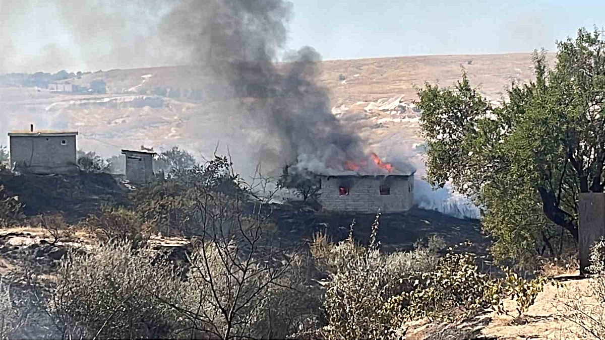 Otluk alanda başlayan yangın bağ evlerine sıçradı: 7 bağ evi kullanılamaz hale geldi