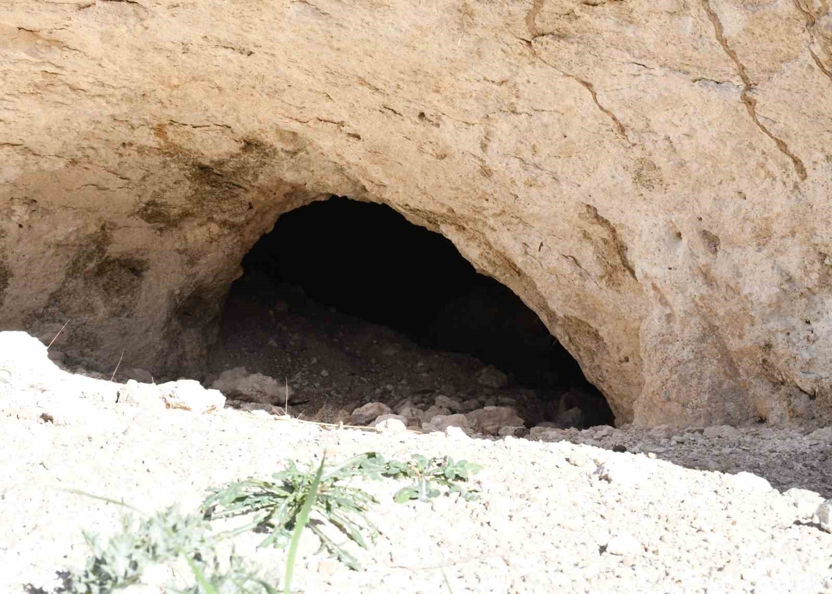 Pekmezin sırrı bu toprakta: Yozgat’tan Antalya’ya, Almanya’ya kadar gidiyor