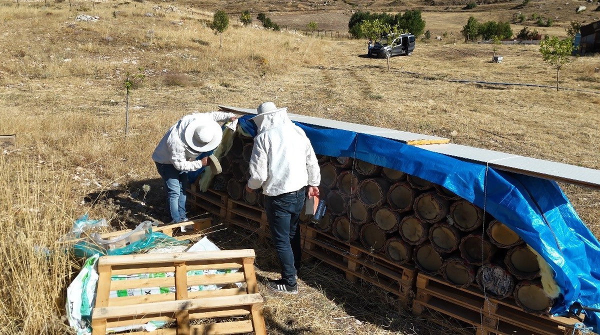 Tunceli’de yüzyıllık arıcılık geleneği yaşatılıyor