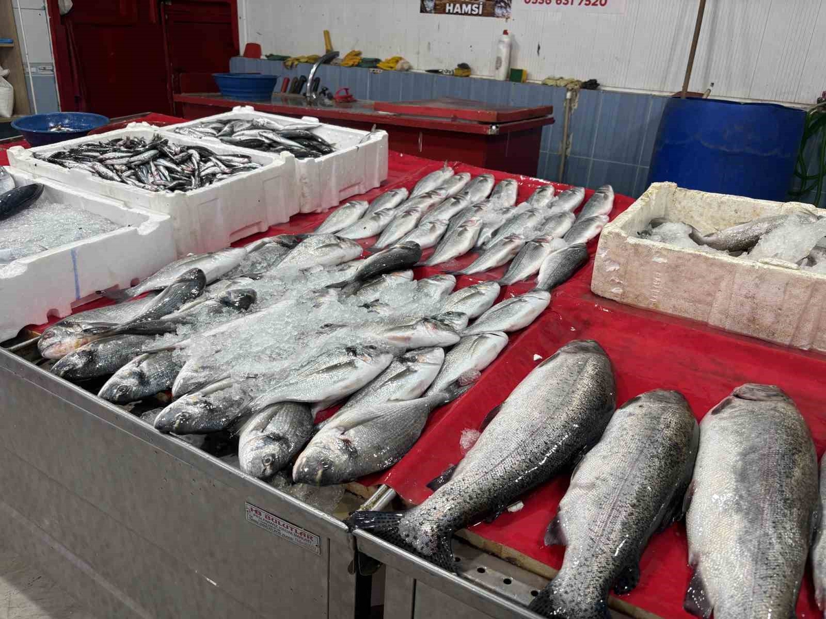 Bingöl’de balık tezgahları şenlendi