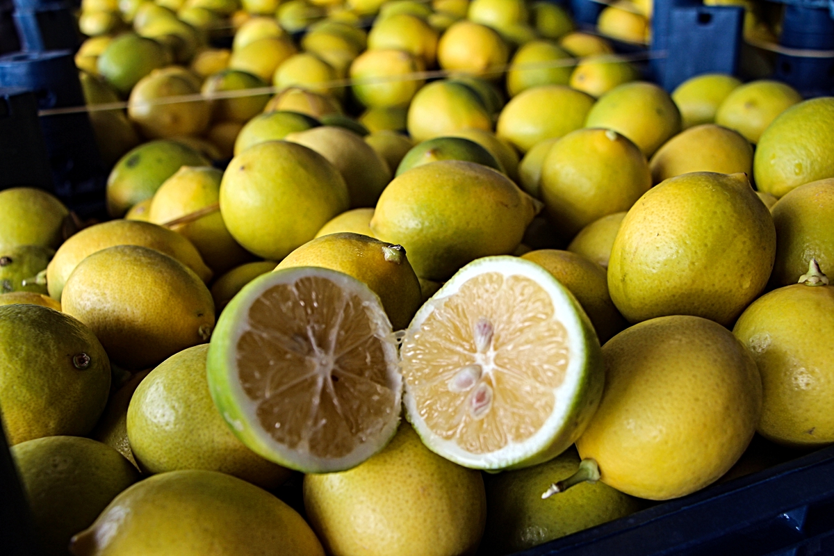 Dalında 5 TL olan limon, markette 20 katına satılıyor