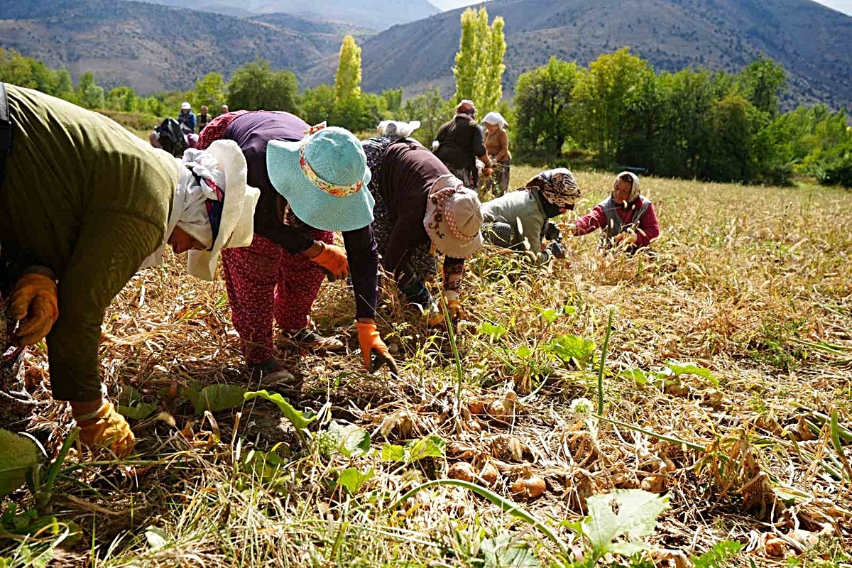 Erzincan’a 169,6 milyon liralık tarımsal hibe desteği