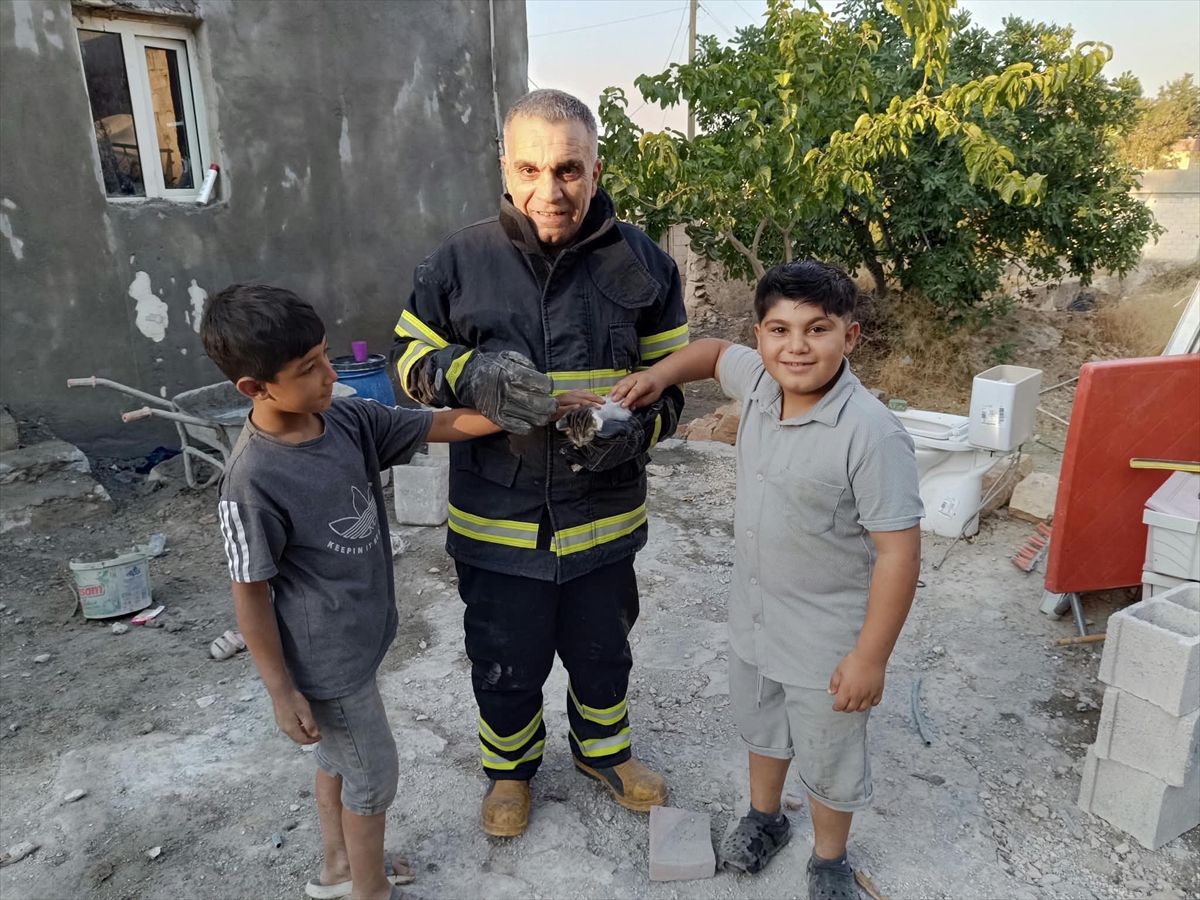 Şanlıurfa'da foseptik çukuruna düşen kedi itfaiye ekiplerince kurtarıldı