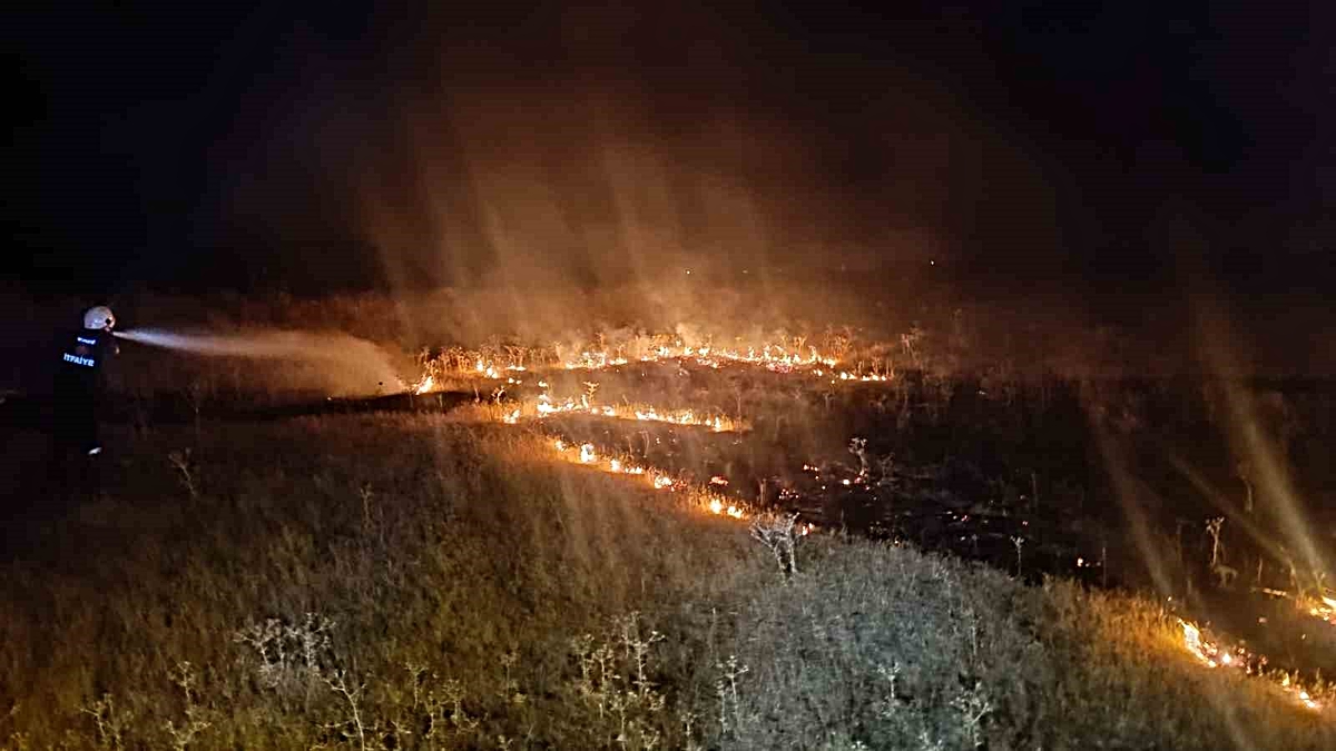 Van’da örtü üstü yangını