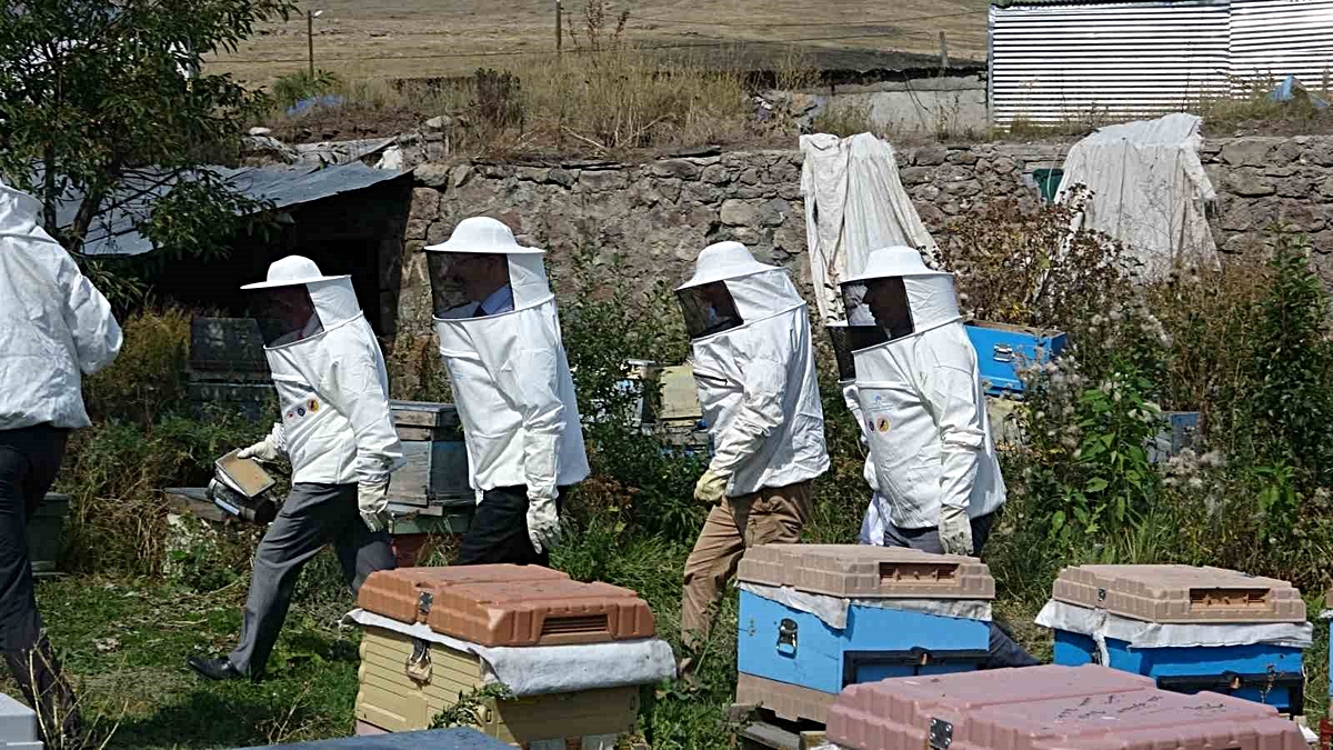 Bal sezonunda son sağım heyecanı