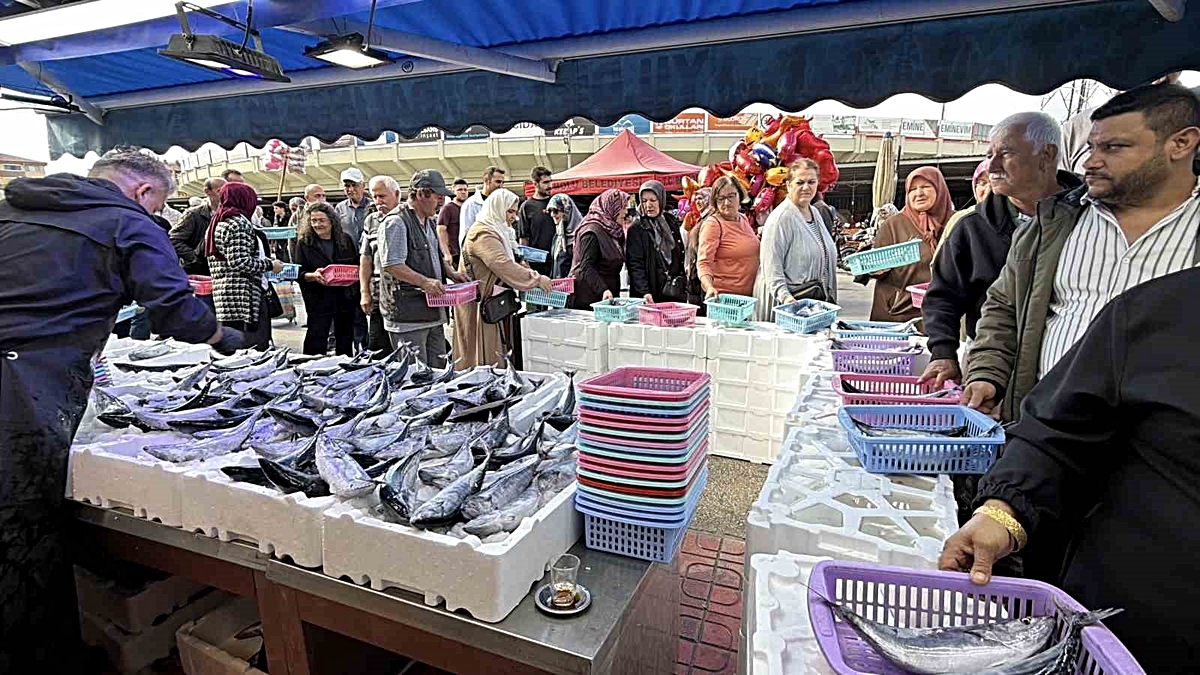 Bolu’da palamut ve hamsiye yoğun ilgi: Tezgahlarda metrelerce kuyruk oluştu