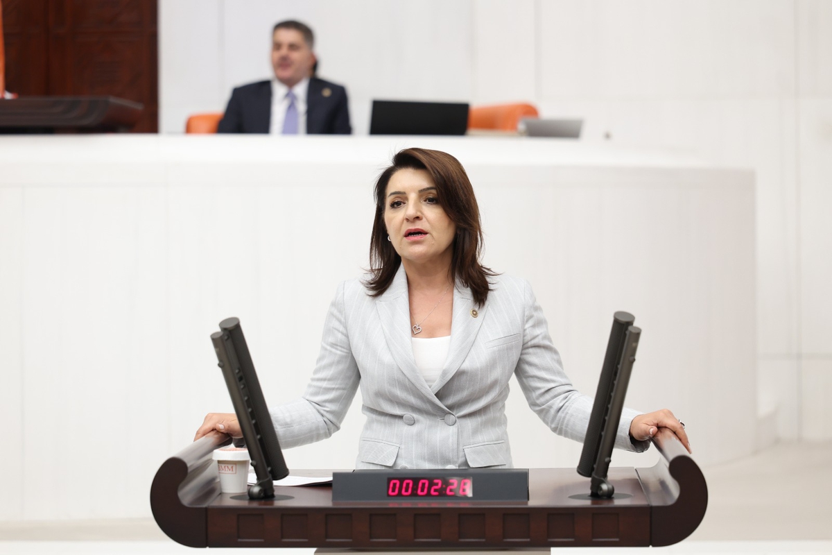 CHP'li Kış: '100 liralık banknot tedavüle çıktığında yaklaşık 41 litre mazot alıyordu, bugün 1 litre mazot ancak alınabiliyor'