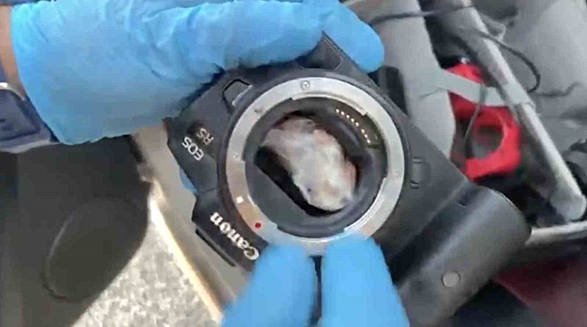 Kastamonu'da fotoğraf makinesinin içinden uyuşturucu çıktı: 2 gözaltı