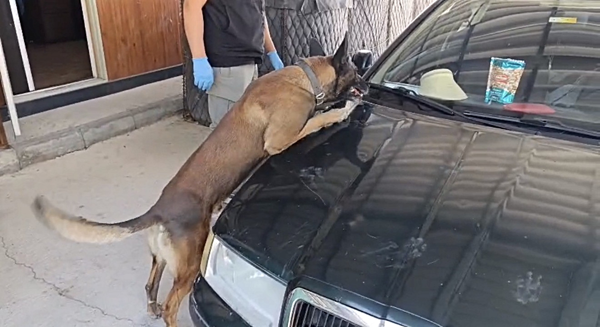 Samsun’da peş peşe uyuşturucu operasyonları: 1 kilo 225 gram metamfetamin ele geçirildi