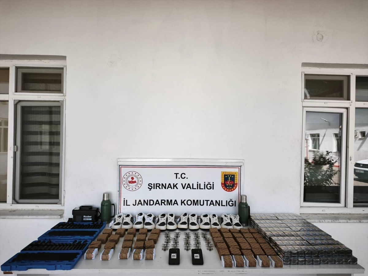 Şırnak'ta kaçakçılık ve asayiş operasyonlarında 1 şüpheli tutuklandı