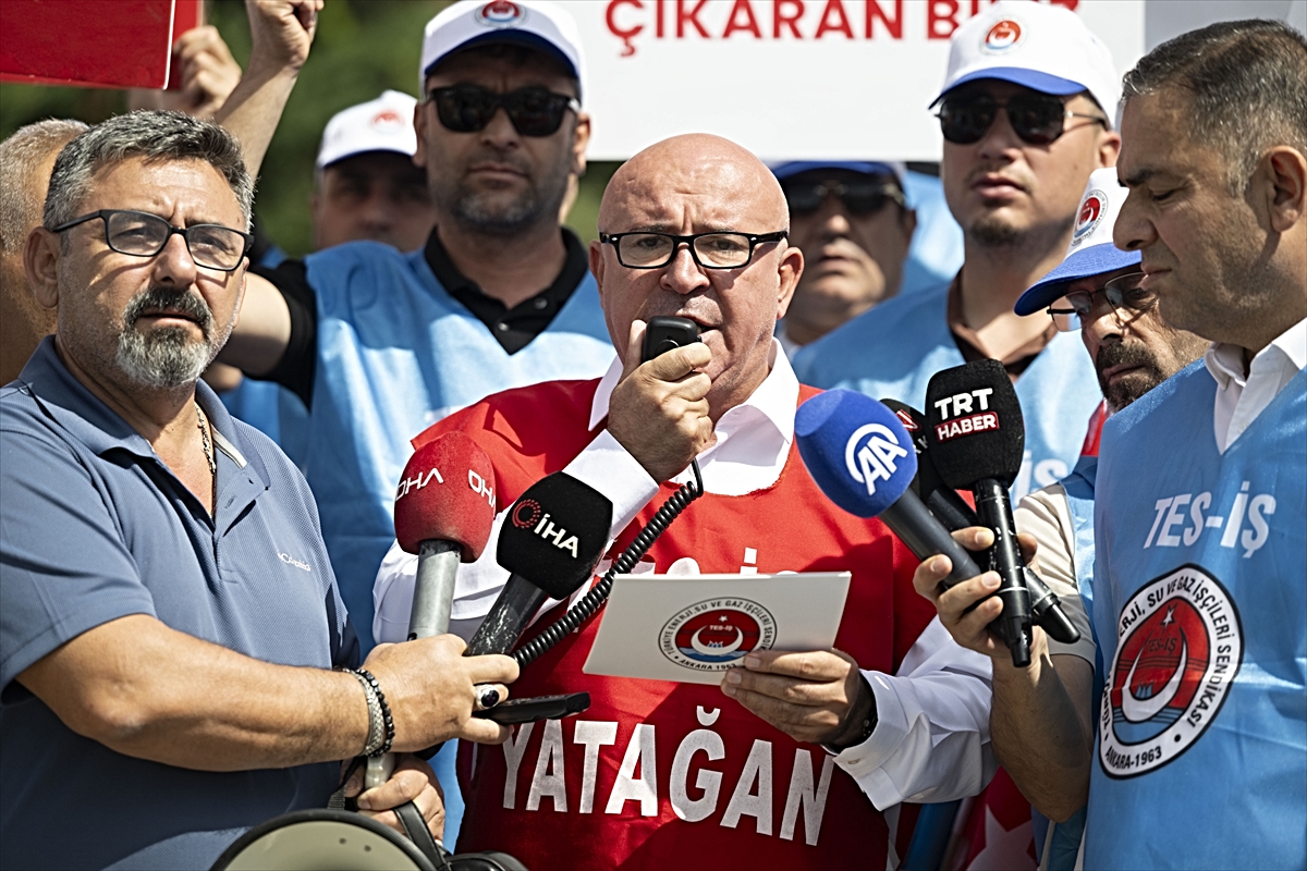 TES-İŞ'ten Milas'taki termik santrallere ilişkin dava öncesi Danıştay önünde açıklama