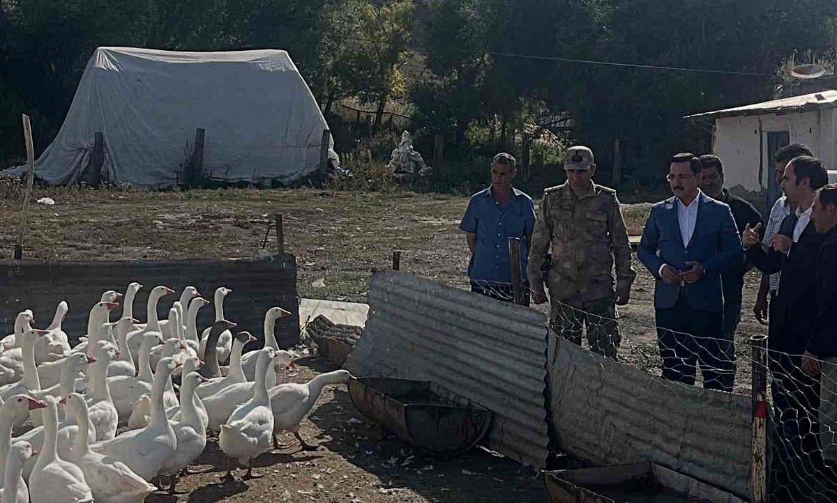 Akyaka’da kaz yetiştiriciliğine yakın takip