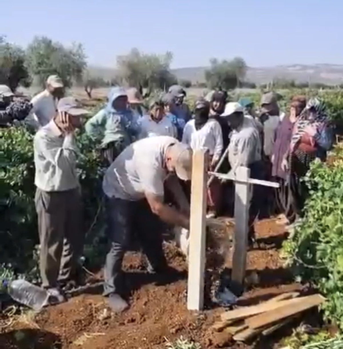Çiftçi üzümün selasını okudu