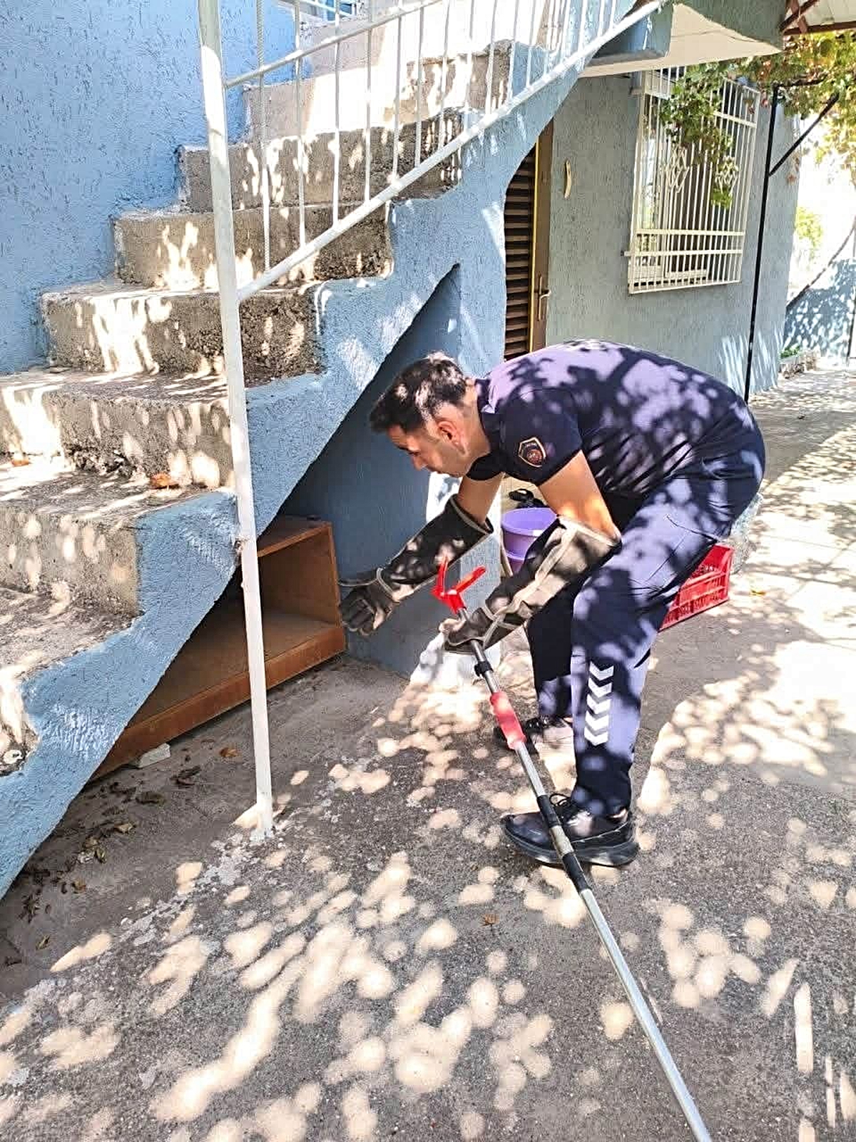İskenderun’da evin içerisinde görülen yılan yakalandı