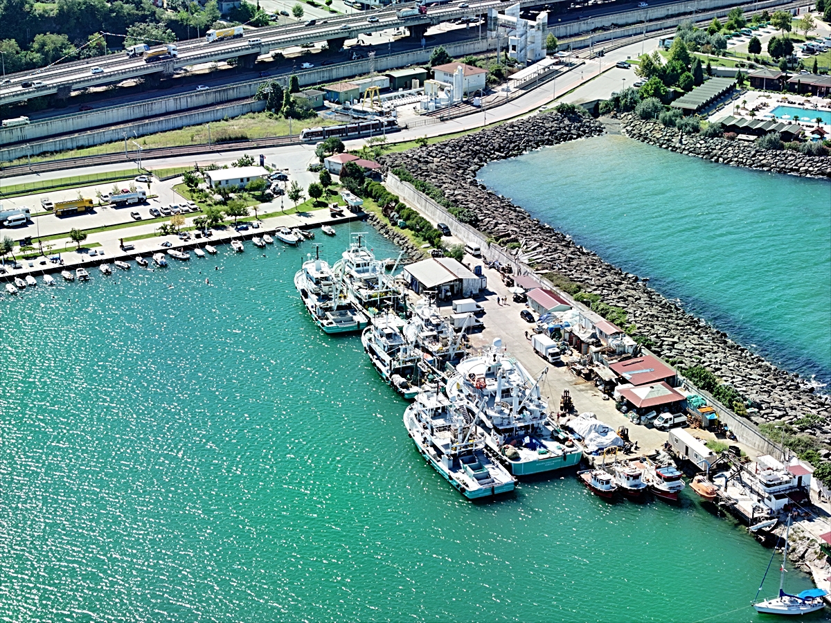 Karadeniz'de balık bolluğu tezgahlara yansıdı