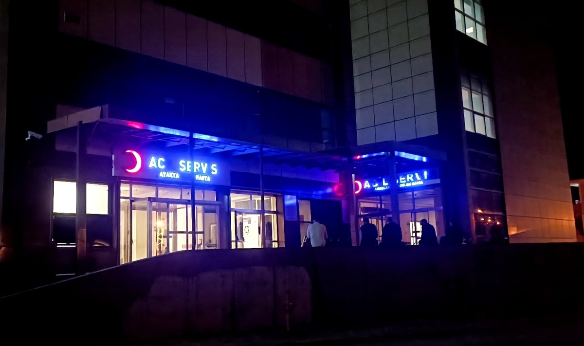 Kars'ta armut ağacından düşen kişi öldü