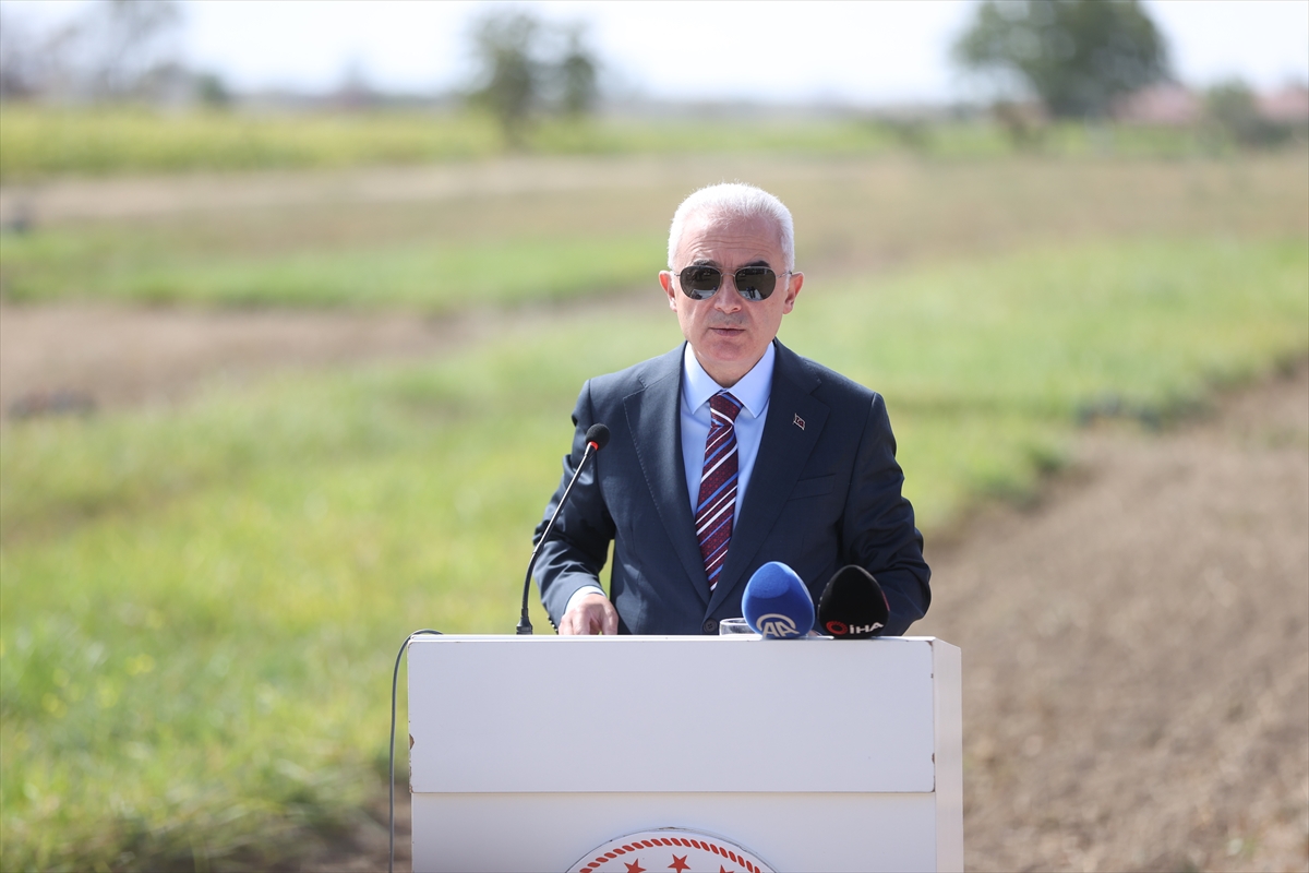 Kırklareli'nde yapay çayır ve meralarda ot verimi damlama sulama ile artırılacak