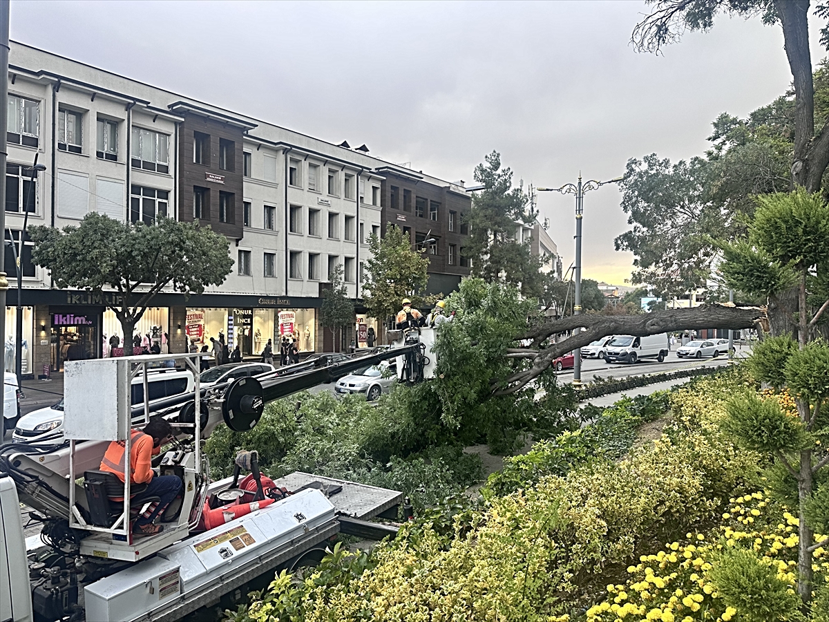 Konya'da tramvay yoluna devrilen ağacın altında kalan çocuk yaralandı