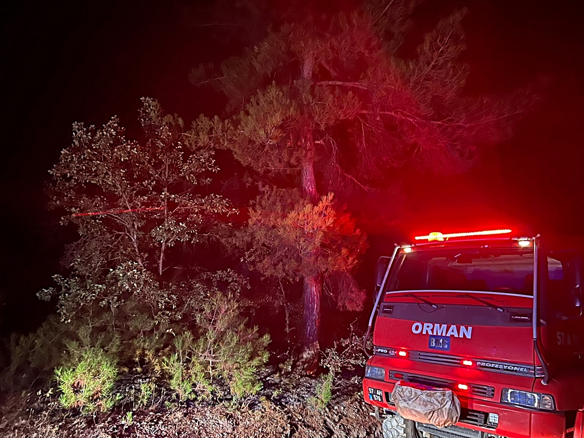 Saraydüzü'nde ormanlık alanda çıkan yangın söndürüldü
