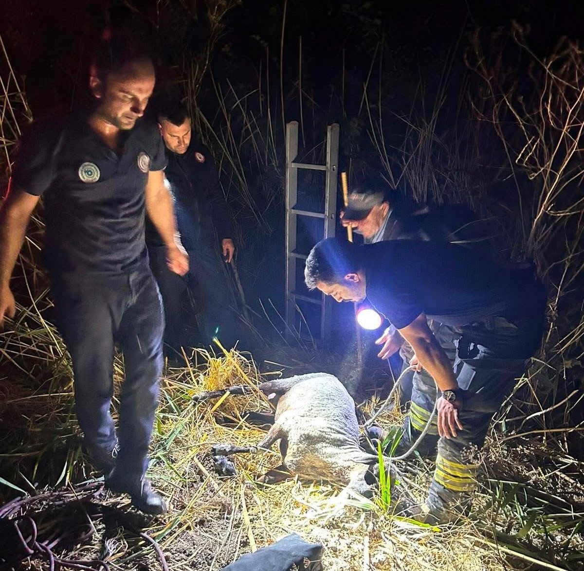 Su kuyusuna düşen koyun itfaiye ekiplerince kurtarıldı