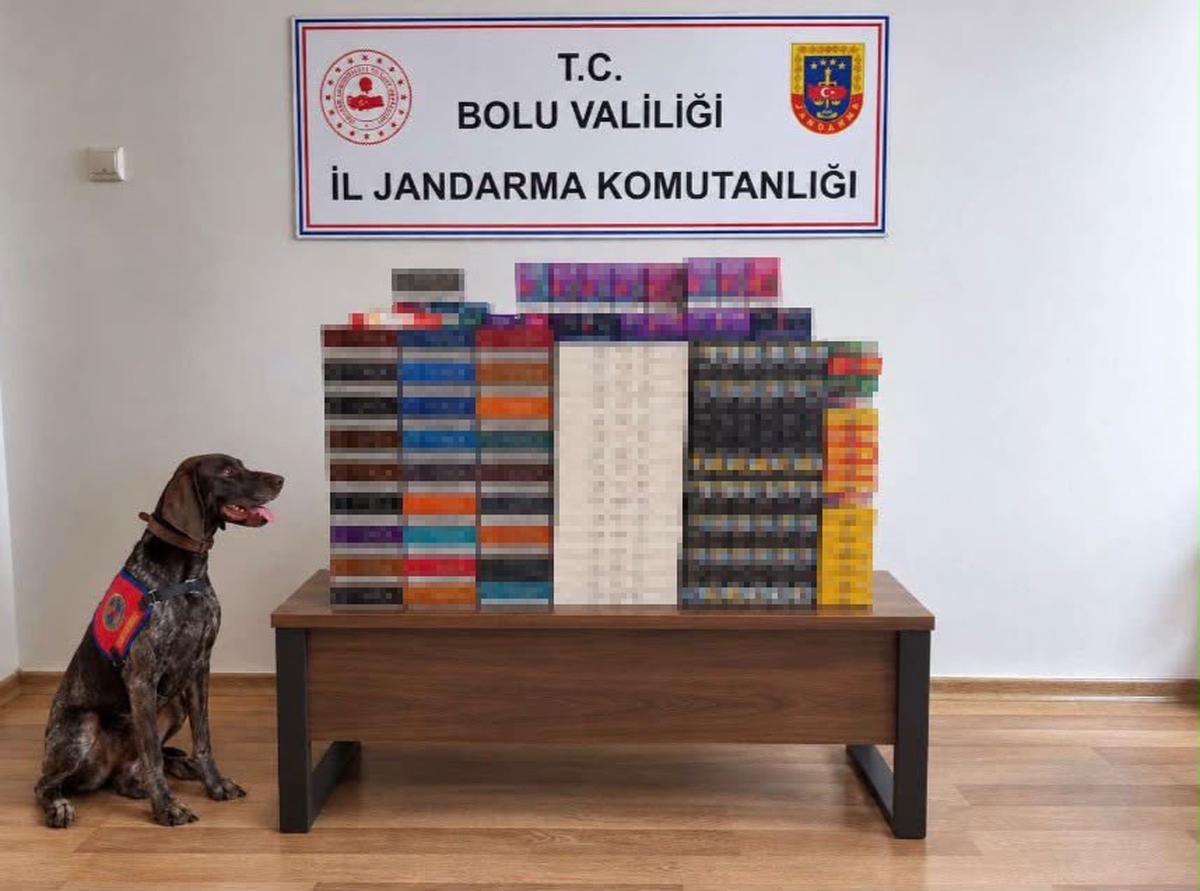 Bolu’da yolcu otobüslerinde kaçak tütün operasyonu: Piyasa değeri 760 bin TL
