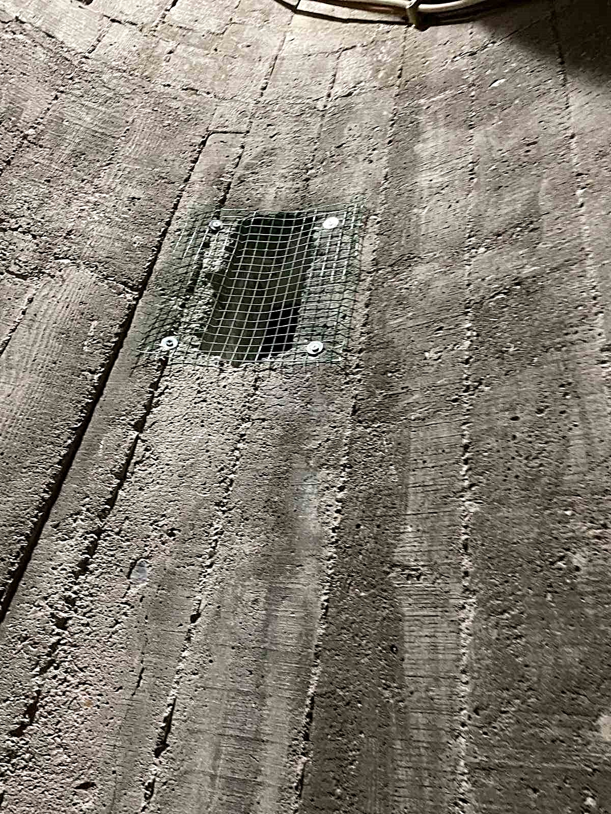 Burhaniye’de çıkılmayan minareler kargalara mesken oldu
