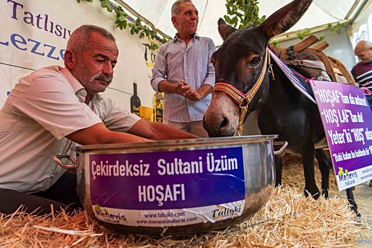 Eşek hoşafa direndi, ortaya renkli görüntüler çıktı